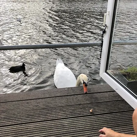 Houseboat Gæstehus 4*