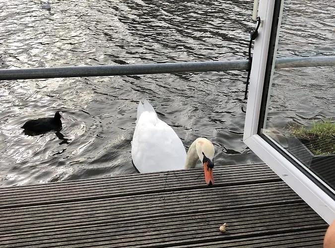 Houseboat Gasthuis 4*